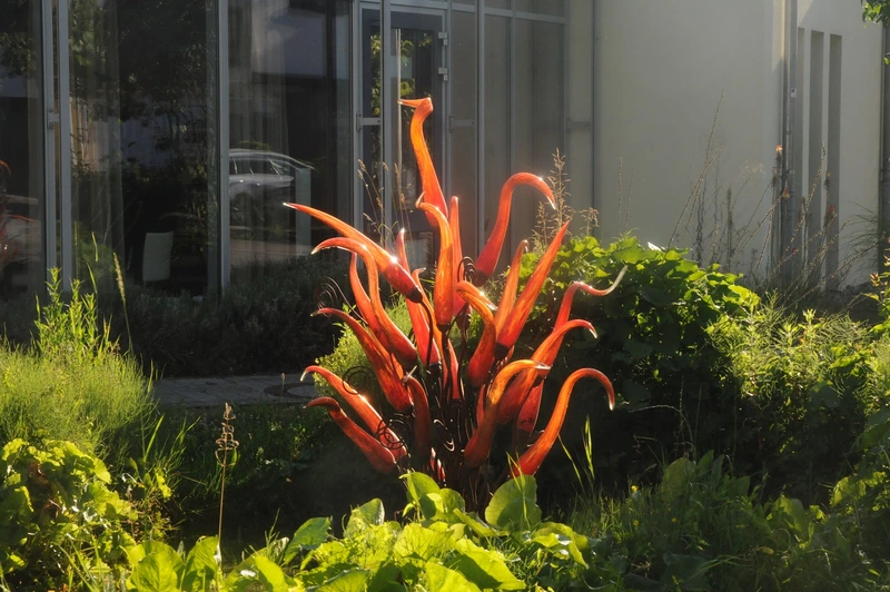 Zentrum für Senioren und Begegnung Adrienne von Bülow – Bild 5