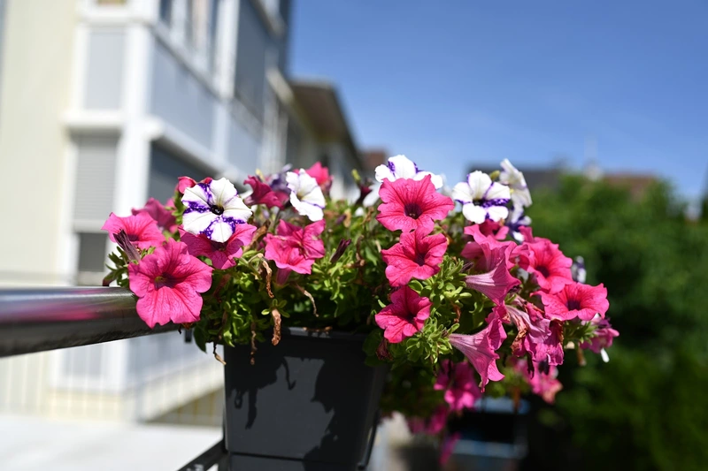 Haus Martinus – Bild 3