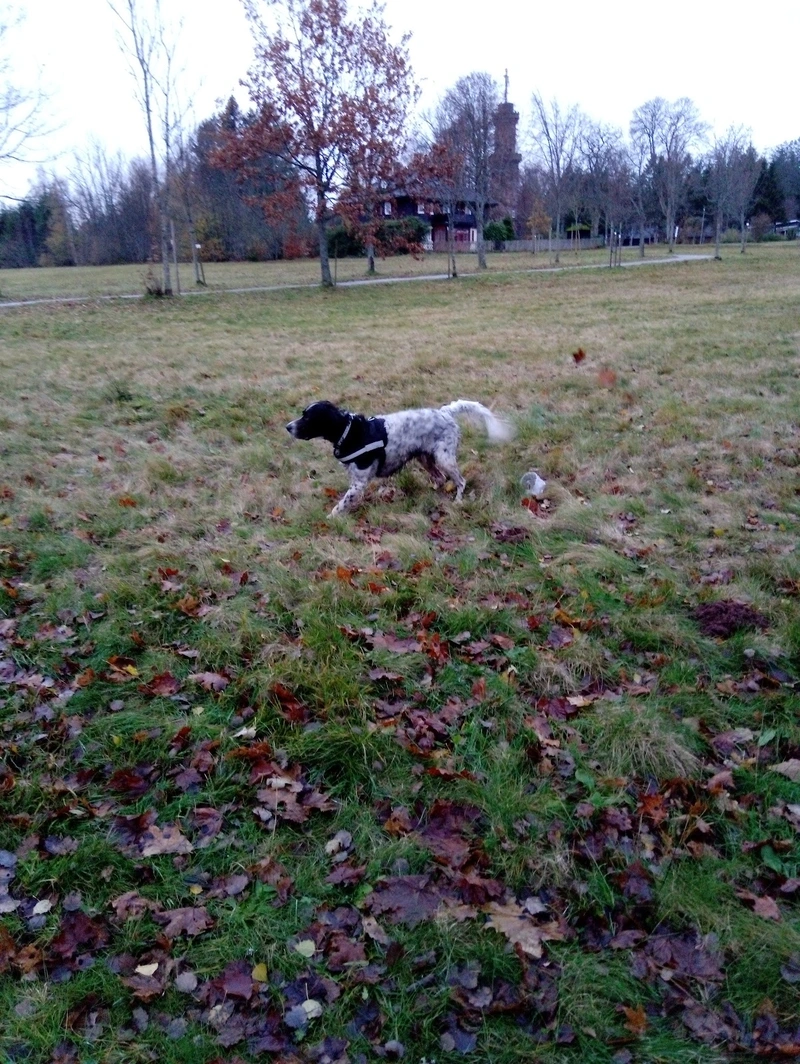 Pflegedomizil am Kienberg – Bild 2