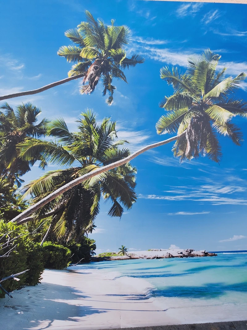 Phoenix Pflegedienst Eislingen GmbH & Co KG – Bild 3