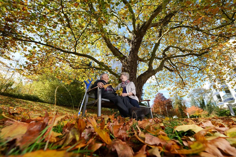 Pflegestation Seniorenwohnanlage Rangendingen – Bild 5