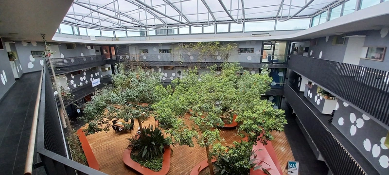 Ev. Sozialstation Bad Rappenau - Bad Wimpfen – Bild 1