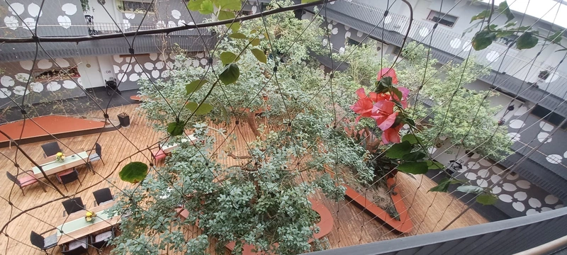 Ev. Sozialstation Bad Rappenau - Bad Wimpfen – Bild 3