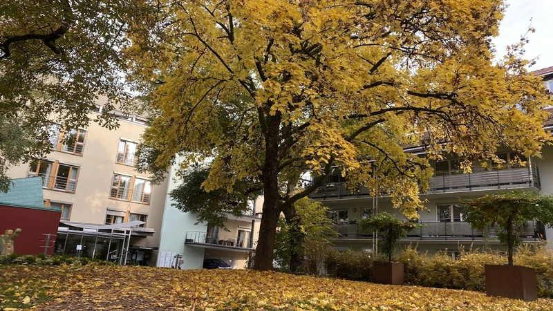 Stiftung Haus Lindenhof - Spital zum Heiligen Geist – Bild 2