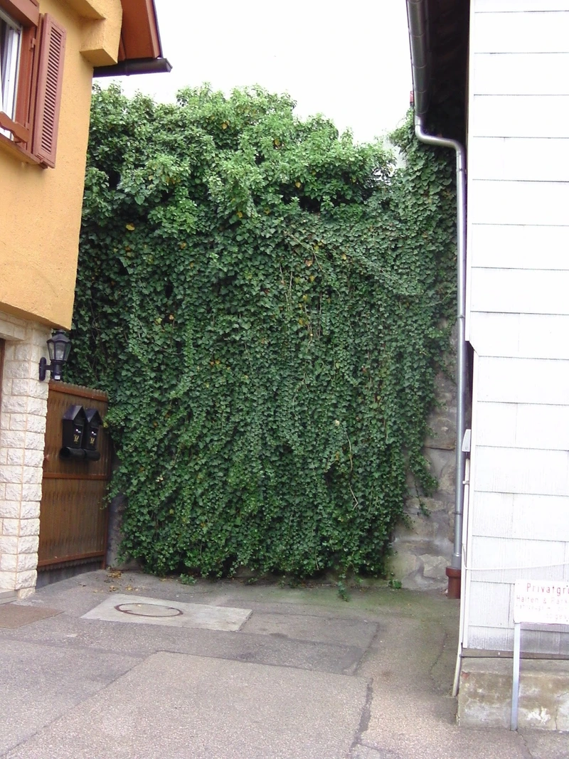 Stiftung Haus Lindenhof - Spital zum Heiligen Geist – Bild 5