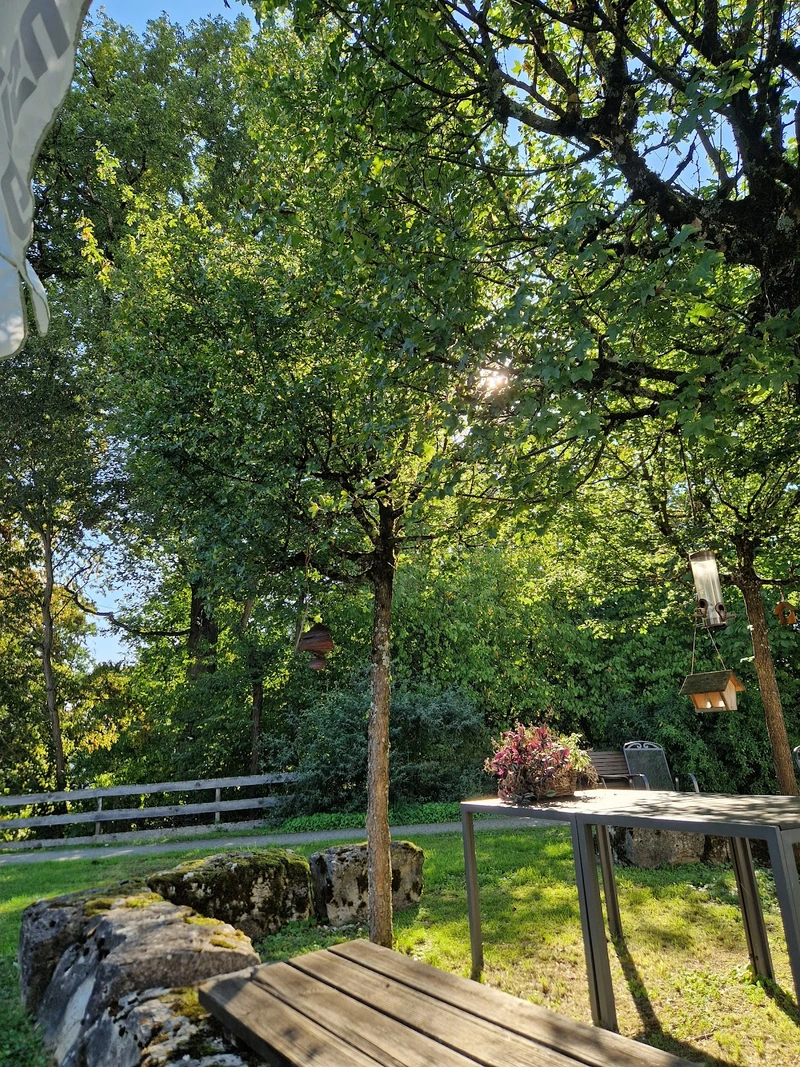 Pflegeheim Schönblick – Bild 3