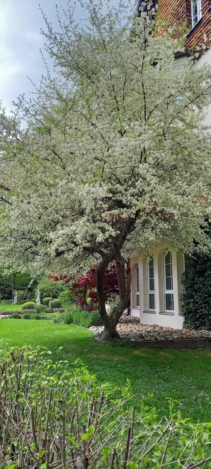 Pflege- und Behindertenheim Rötlenmühle GmbH – Bild 4