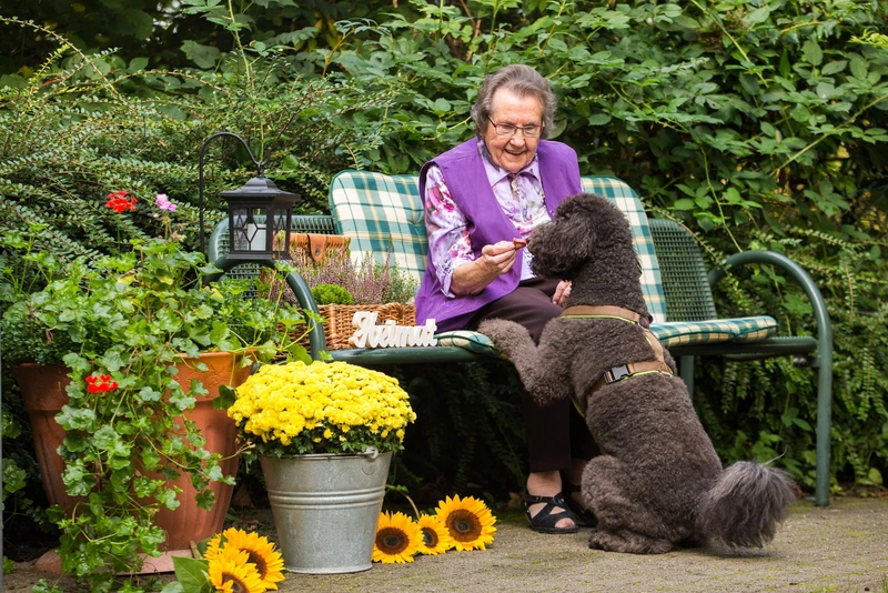 Haus der Betreuung und Pflege Öhringen Tagespflege – Bild 4