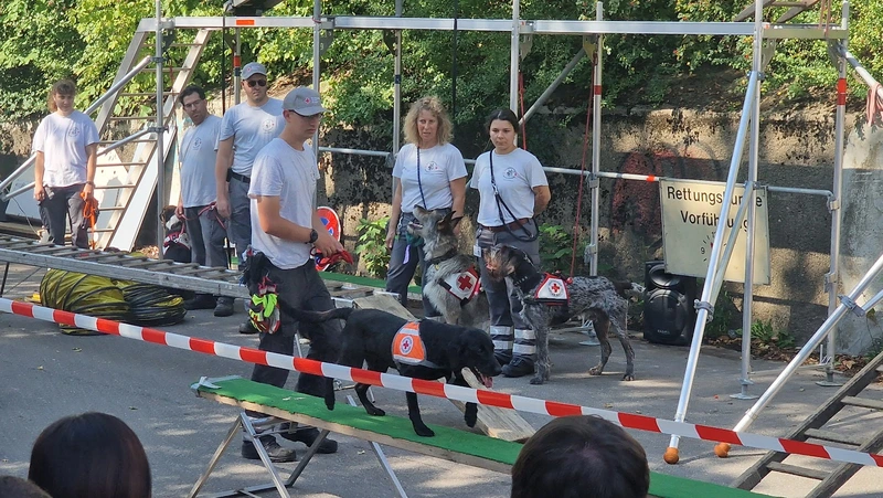 DRK Pflegedienst Nürtingen Kirchheim/Teck – Bild 1