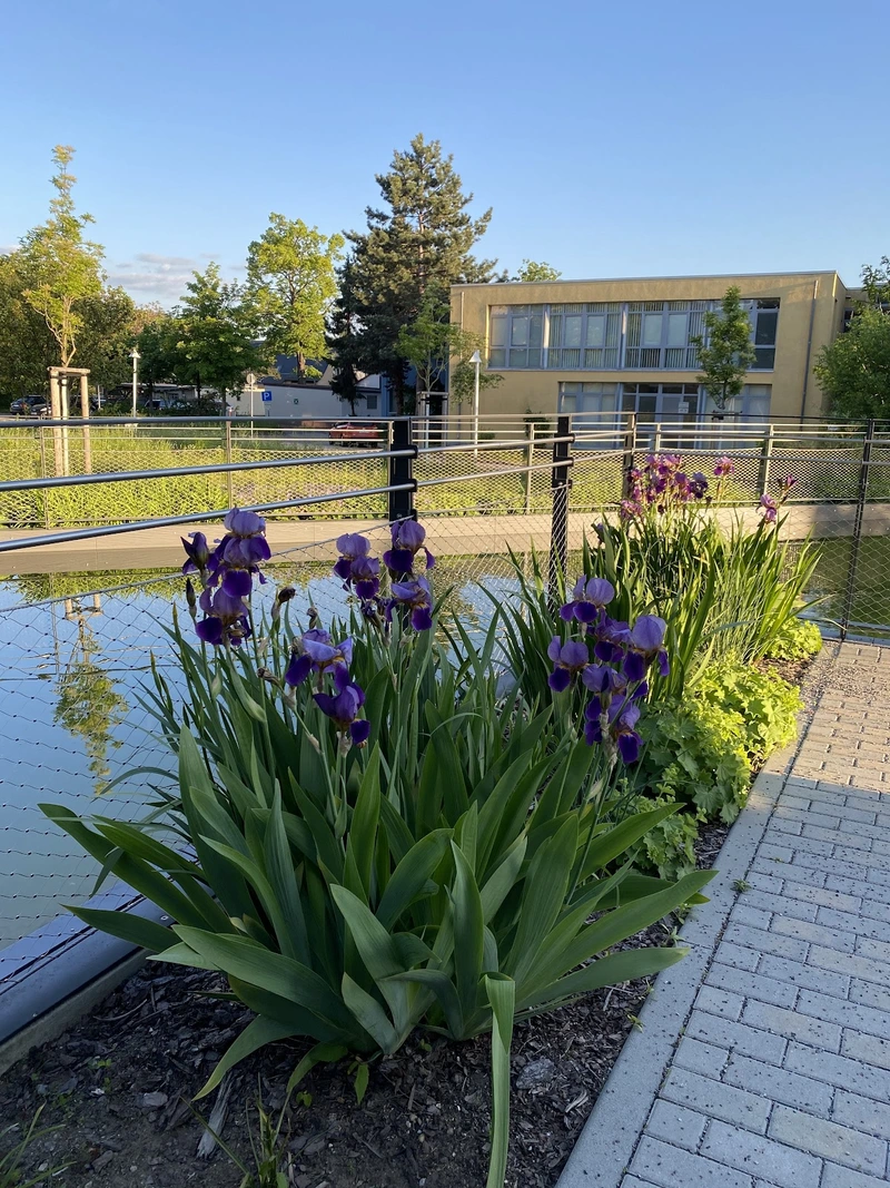 Amb. Gesundheits- und Pflegeservice P. Schleicher KG – Bild 3