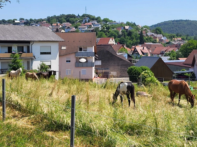 AWO Hausgemeinschaft Elztal-Dallau – Bild 1