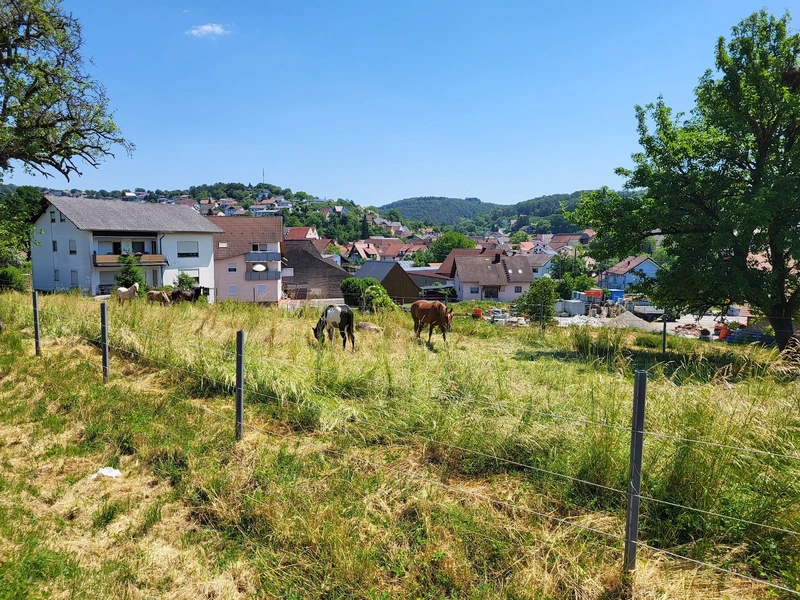 AWO Hausgemeinschaft Elztal-Dallau – Bild 5