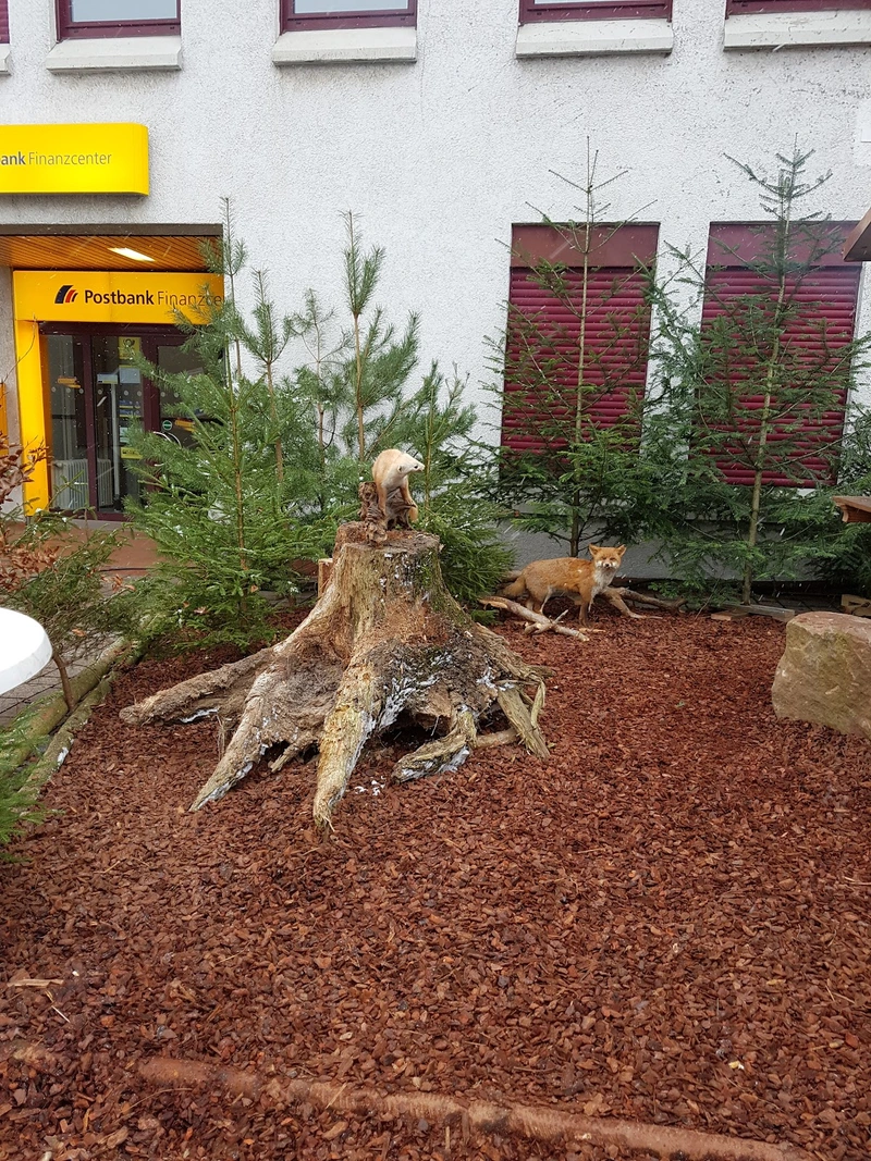 Diakoniestation Birkenfeld – Bild 1