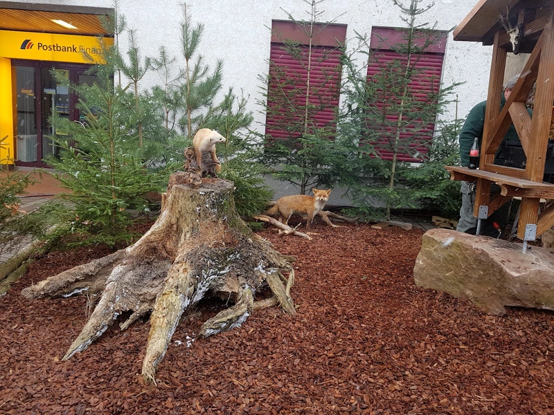 Diakoniestation Birkenfeld – Bild 5