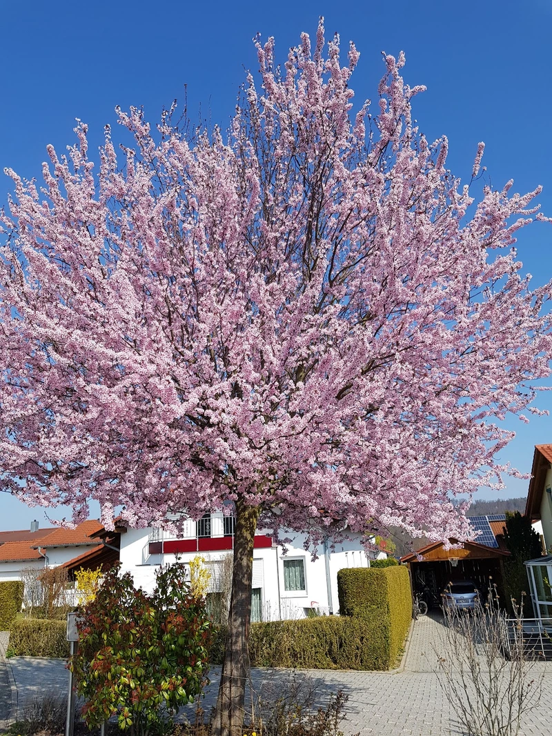 DRK Pflegeheim Ötisheim – Bild 3