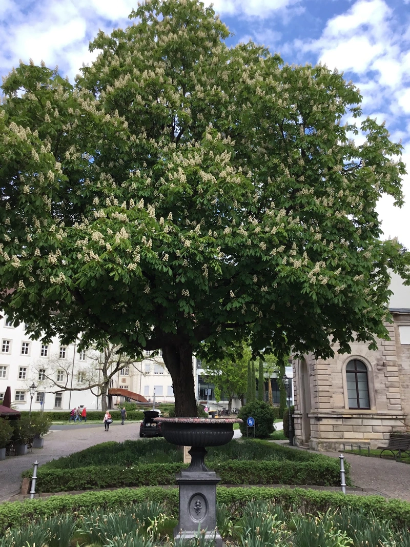 Die Alltagsbegleiter Baden GmbH – Bild 4