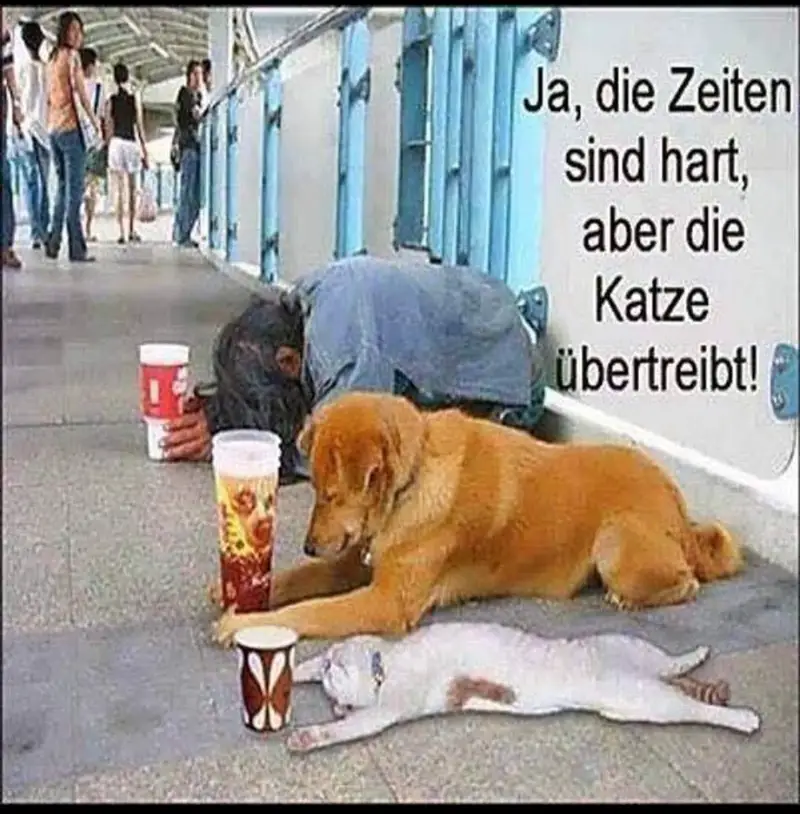 Familienwerk Sölden e.V. Team Bühl-Rastatt – Bild 3