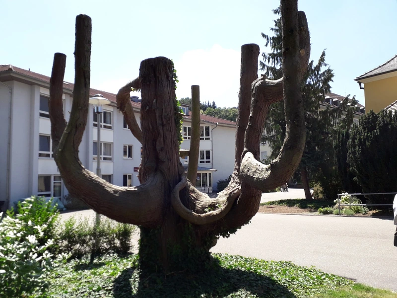 Pflege- und Betreuungsheim Ortenau Klinikum – Bild 3