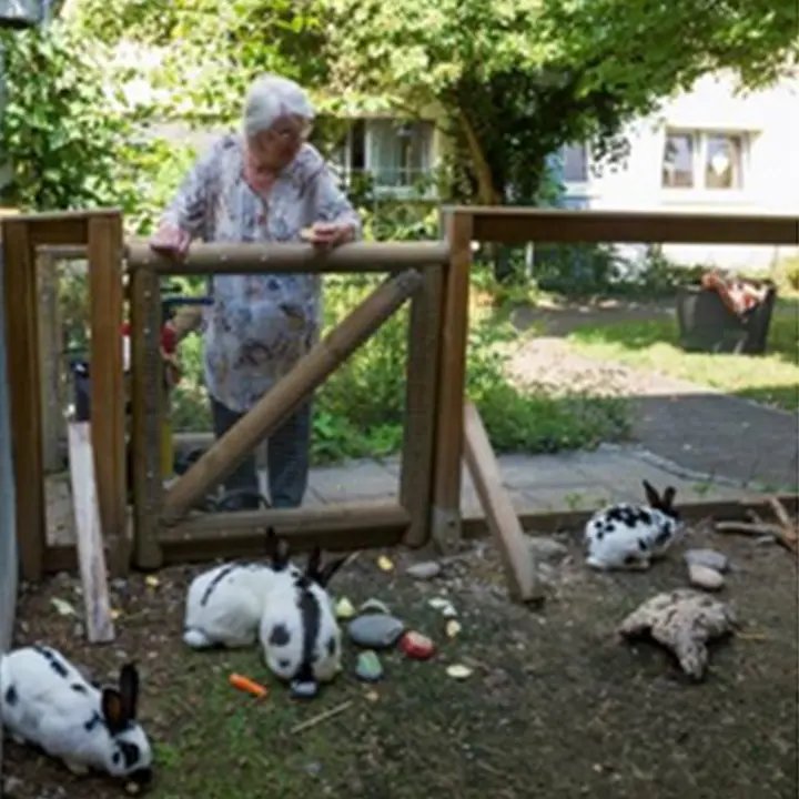 Wohnheim St. Johann Tagespflege Wiehre – Bild 4