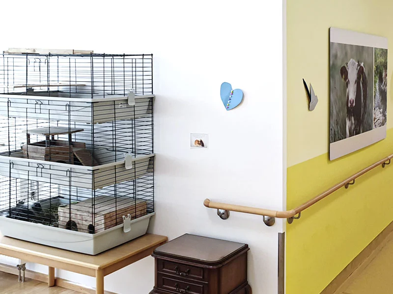 Senioren- und Pflegeresidenz Luisenheim GmbH – Bild 4