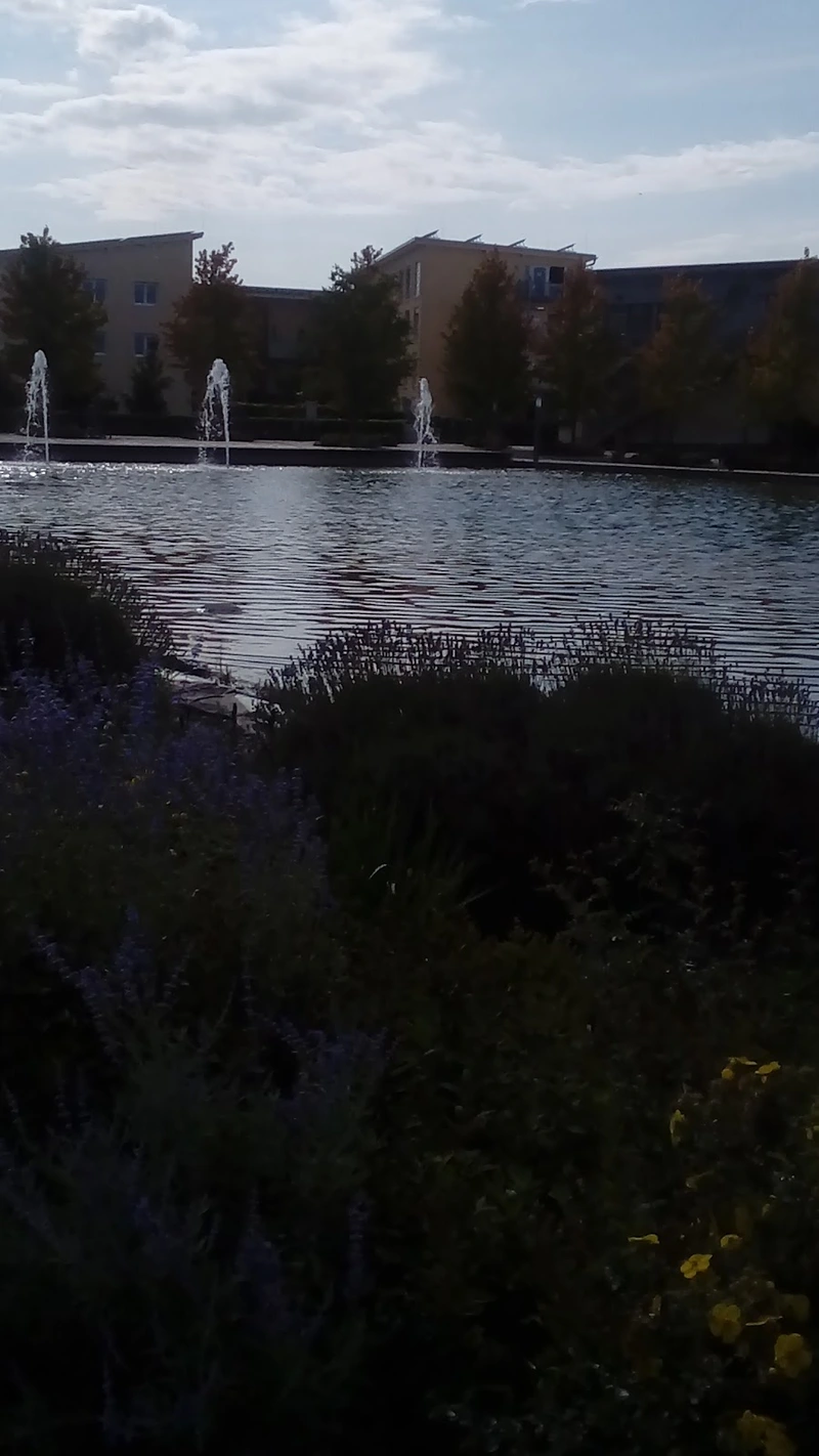 Seniorenwohnen Olching – Bild 2