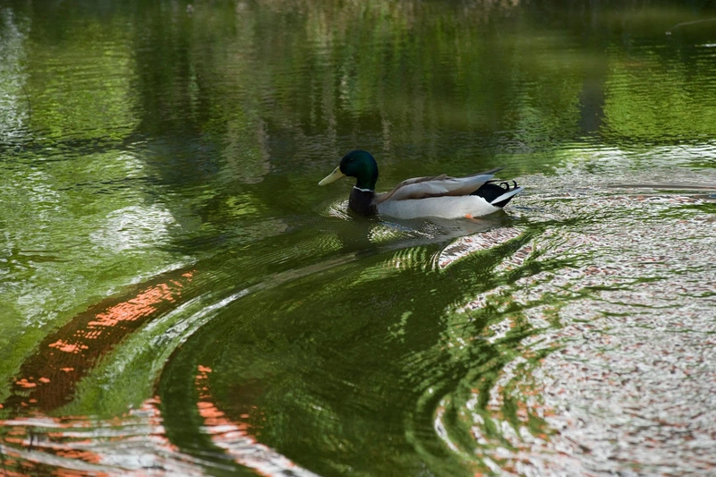 Caritas Altenheim St. Michael – Bild 3