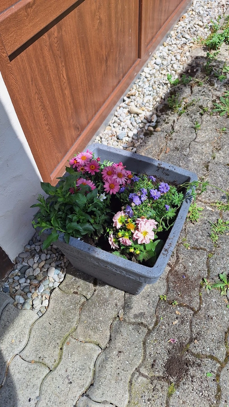 SeniorenWohnen Küpferling – Bild 3