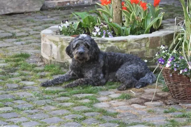 Pflegedienst Vinxtbachtal – Bild 4