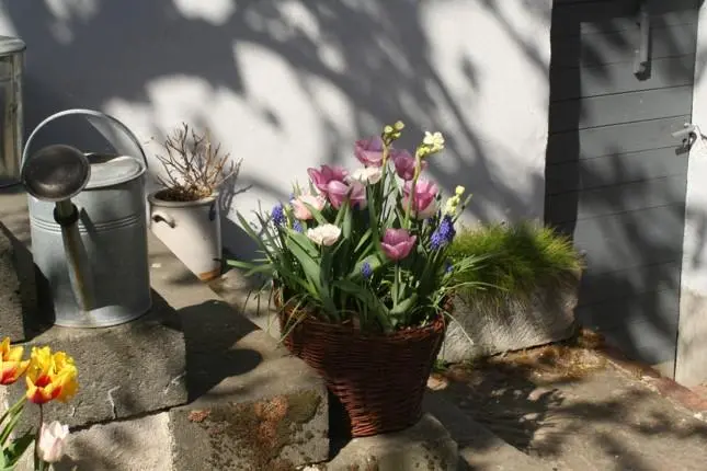 Pflegedienst Vinxtbachtal – Bild 5