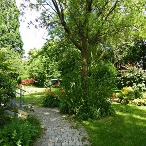 Villa Wörth Pflegezentrum GmbH – Bild 4