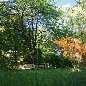 Villa Wörth Pflegezentrum GmbH – Bild 5