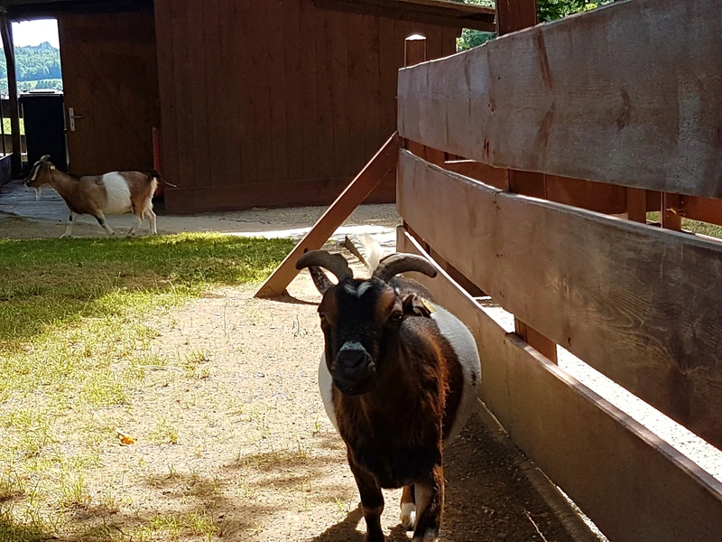 Betreuungszentrum St. Wolfgang GmbH – Bild 5