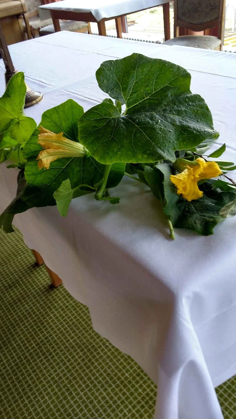 Seniorenzentrum Großmehring – Bild 2