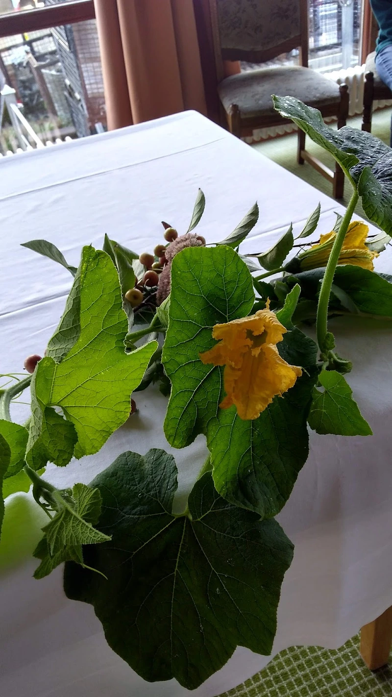 Seniorenzentrum Großmehring – Bild 4