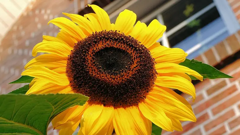 Caritas Sozialstation Städtedreieck Kallmünz – Bild 1