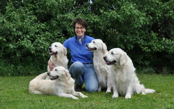 Coburger Sozialdienst – Bild 1