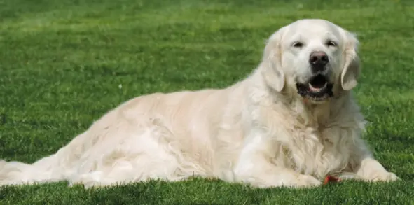 Coburger Sozialdienst – Bild 4