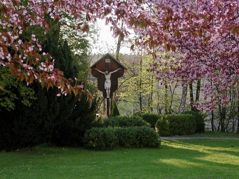 Caritas-Seniorenzentrum St. Georg – Bild 4