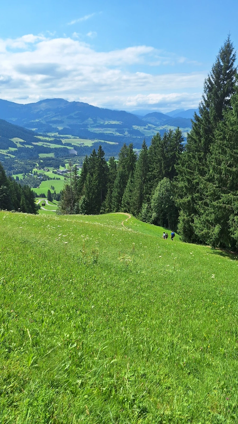 WIR in Westendorf - Haushaltsnahe Dienstleitungen – Bild 2