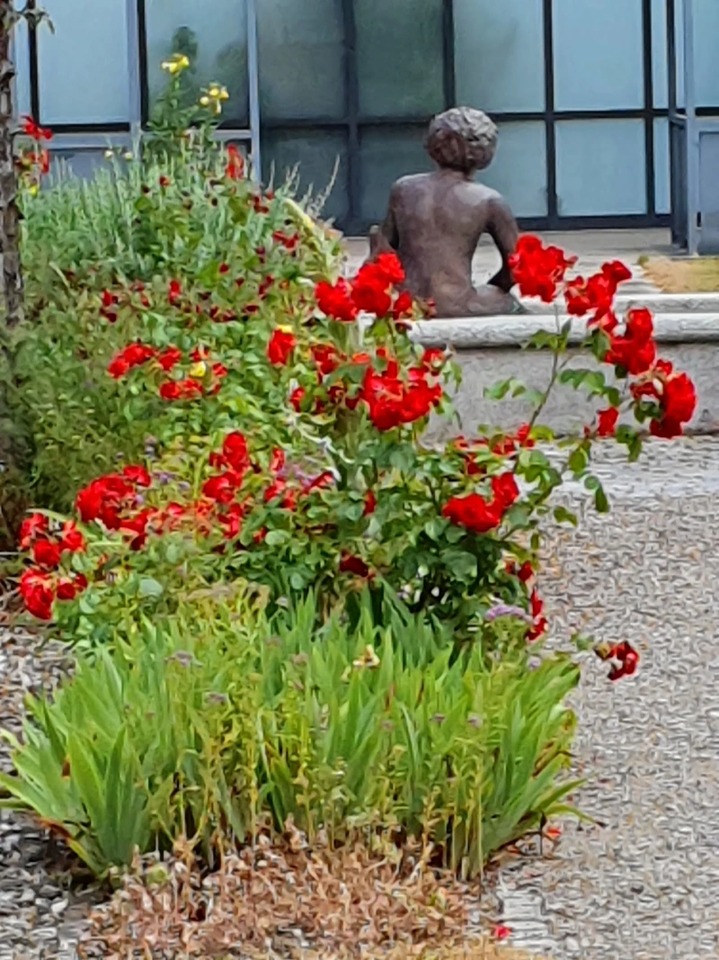 AWO Seniorenheim MeWo – Bild 3