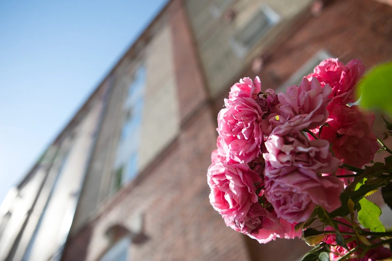 Wohn- und Pflegezentrum Schlosspark Warthausen – Bild 4