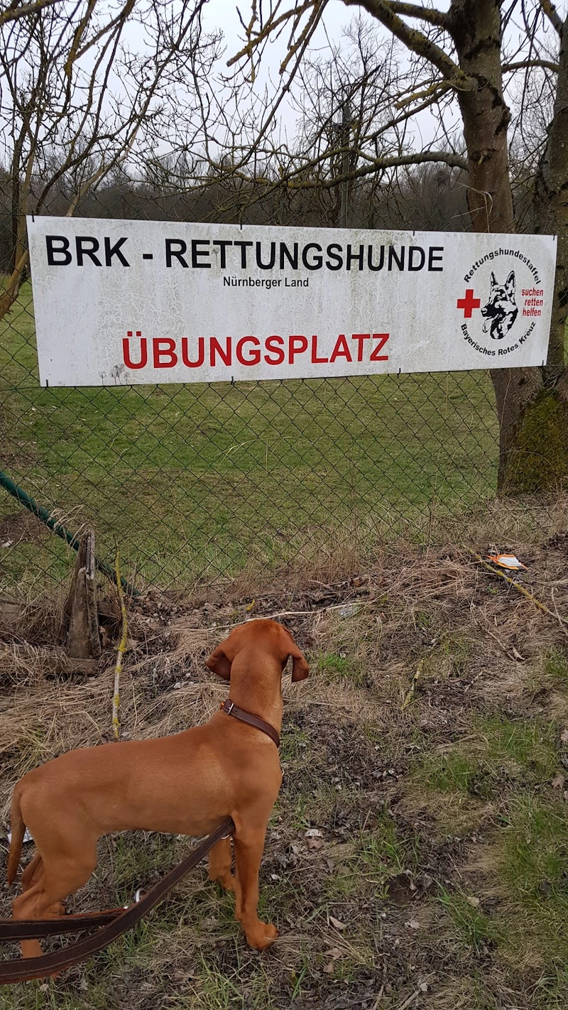 BRK-Sozialstation Kreisverband Nürnberger Land – Bild 3