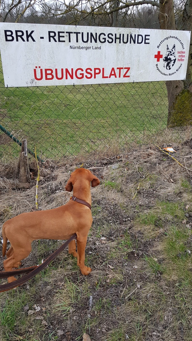 BRK-Sozialstation Kreisverband Nürnberger Land – Bild 5