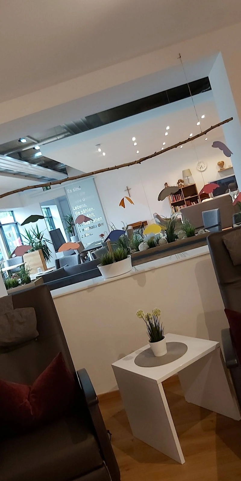 Caritasverein Illertissen Tagespflege Senden – Bild 3