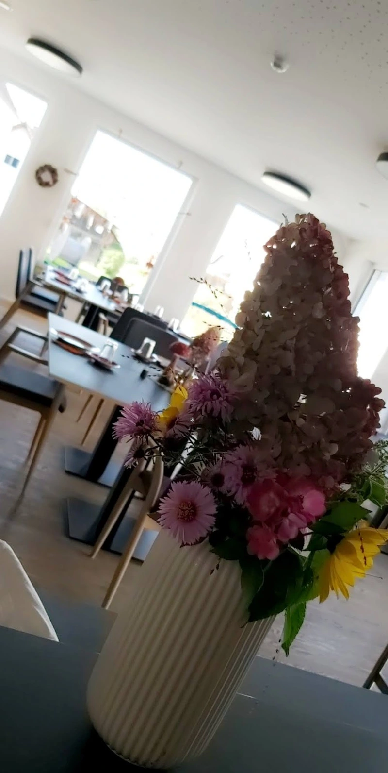 illerSENIO Tagespflege Buch – Bild 3