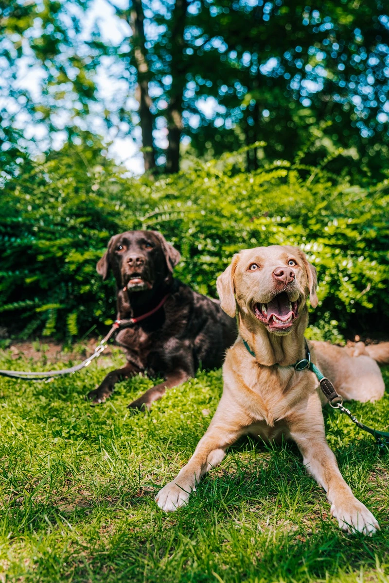 Ambulanter Pflegedienst von Herz zu Seele – Bild 4