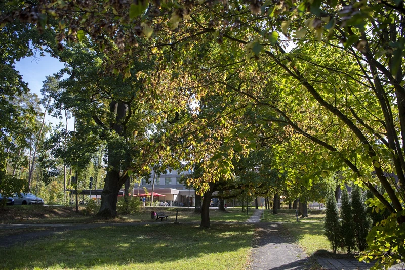 Tagespflege der Fritz und Dr. Edith Rieder-Stiftung im August-Meier-Haus – Bild 5