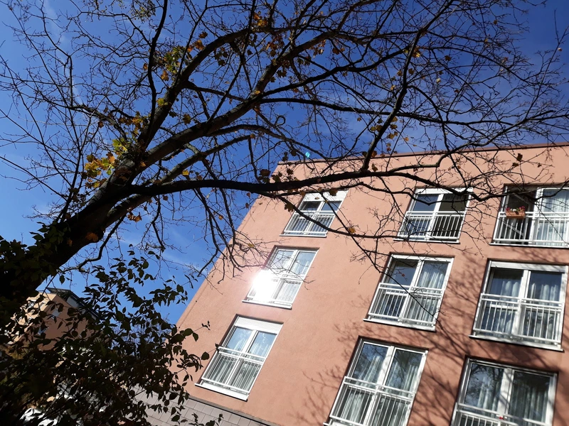 Christian-Geyer-Heim – Bild 5