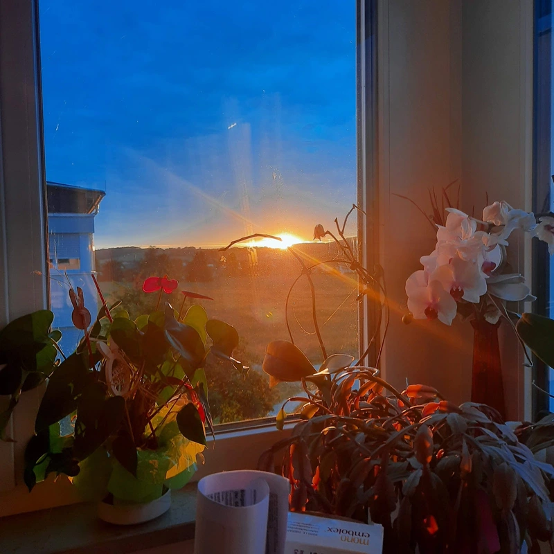 Diakoniestation Martha-Maria Eckental – Bild 3