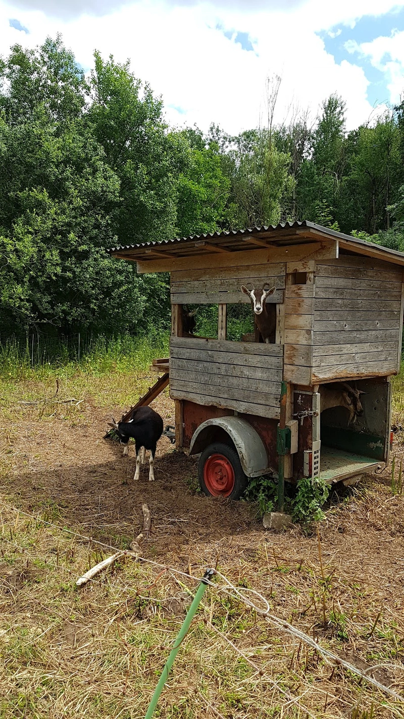 AWO Seniorenzentrum "Am Lichtenstein" – Bild 4